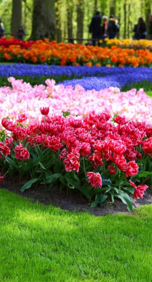 Marlboro Lawn & Landscape Design Inc.