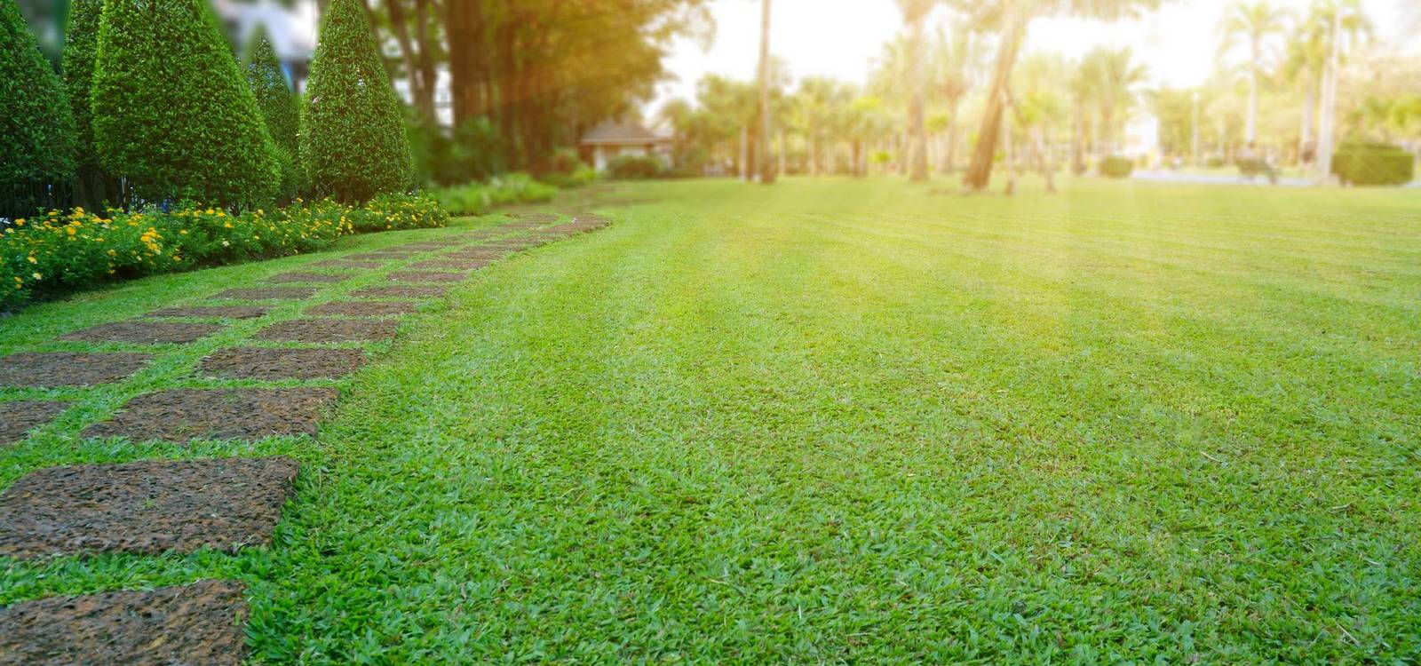 A Guaranteed Beautiful Lawn
