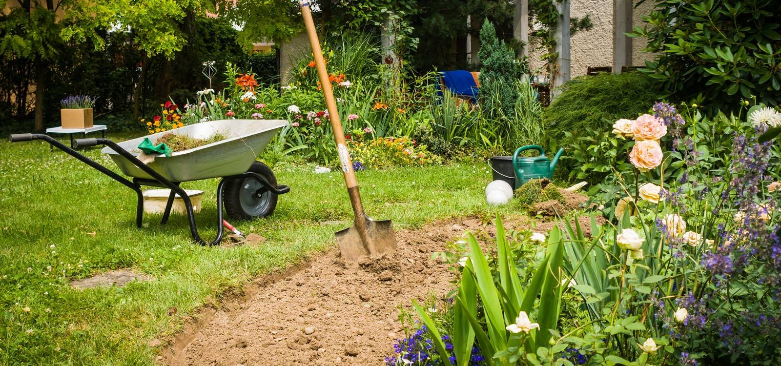 Professional Landscapers at Your Service