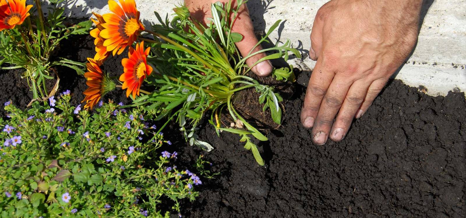 Complete Care for Your Landscape