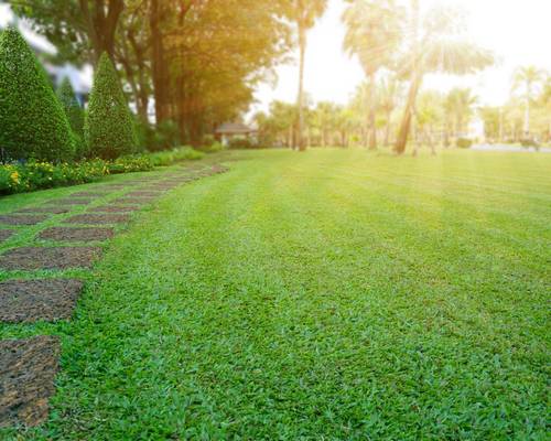 A Guaranteed Beautiful Lawn