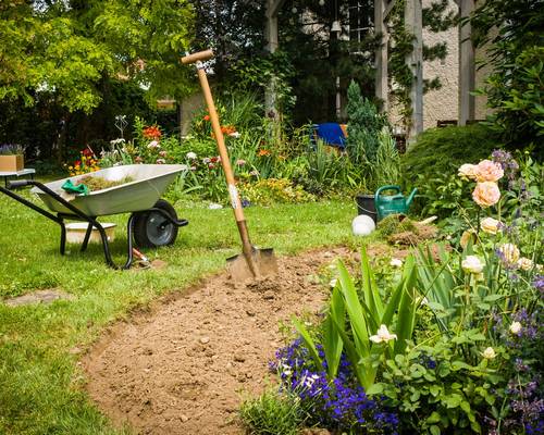 Professional Landscapers at Your Service