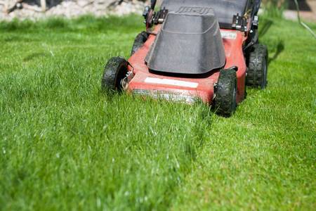 Weekly Mowing