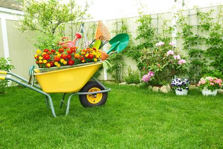 Spring and Fall Clean-Up